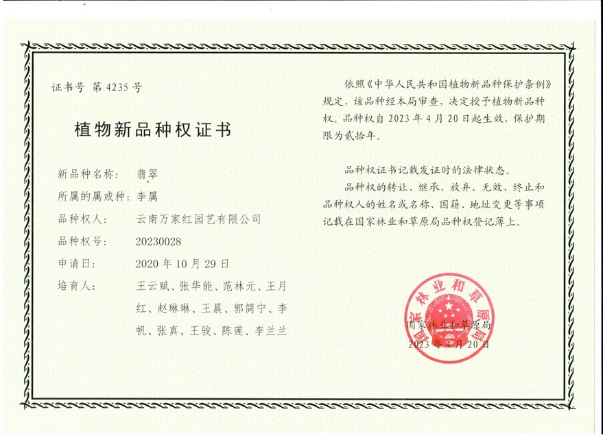 國(guó)家級(jí)櫻花新品種‘翡翠’證書(shū)