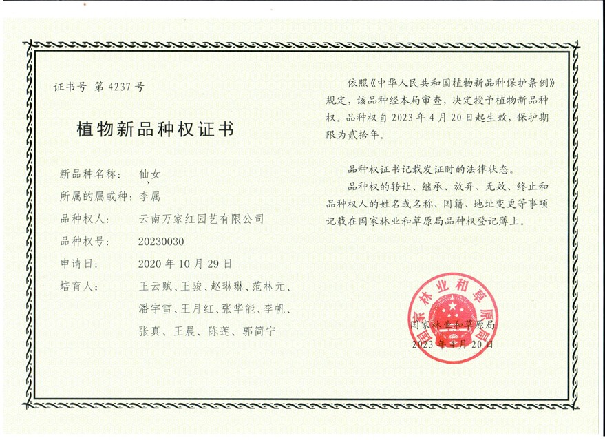 國(guó)家級(jí)櫻花新品種‘仙女’證書(shū)